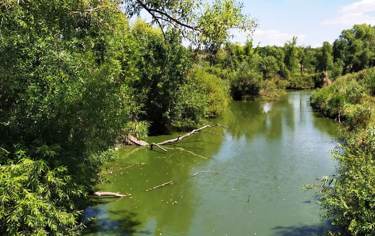 Новоолександрівка село Дніпровського району